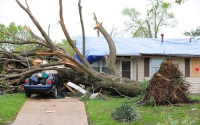 5 Steps to Take after a Storm Damages Your Roof in the Twin Cities